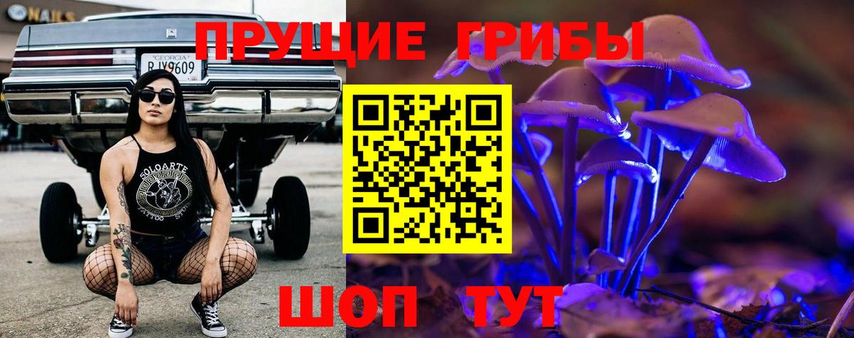 Галлюциногенные грибы мицелий  Вход с VPN  Галлюциногенные грибы прущие грибы  Аша 