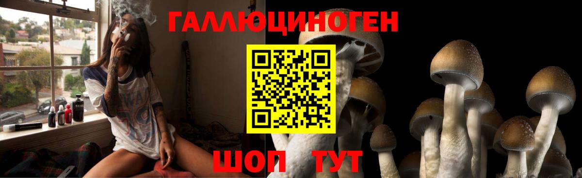 Галлюциногенные грибы GOLDEN TEACHER Аша